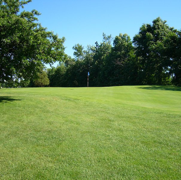 About Us Cedar Valley Golf and Country Club